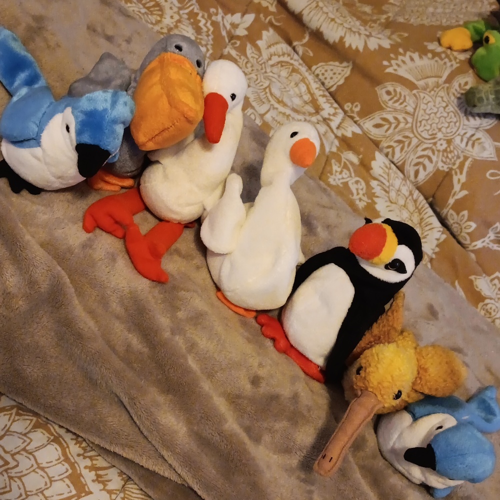 BEANIE BABY BIRDS